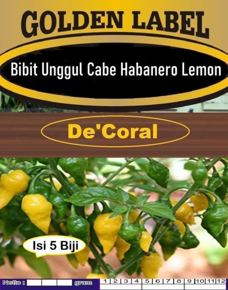 Agen Habanero Bagus: Tempat Terbaik untuk Mendapatkan Produk Berkualitas