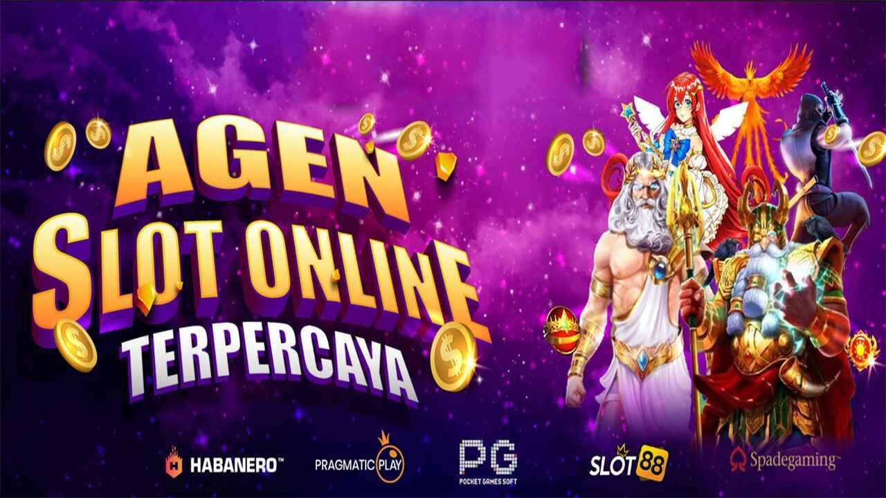 Agen Habanero Resmi Terpercaya untuk Anda